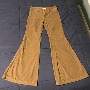 Free People brownish/olive green corduroy bell bottoms